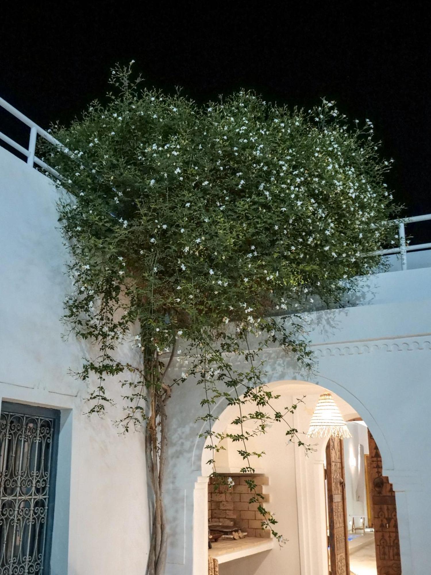 Bed and Breakfast Dar Ennour Houmt Souk  Exterior foto